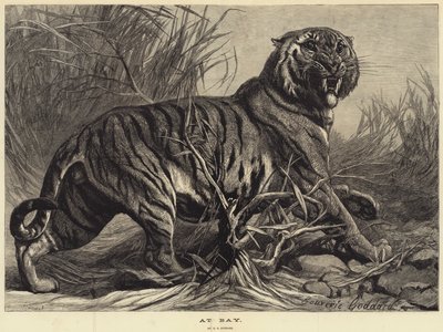 Körfezde by George Bouverie Goddard